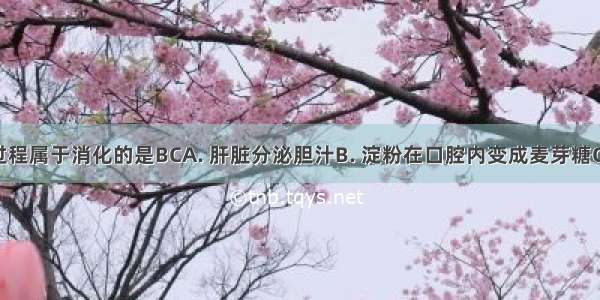 下列变化过程属于消化的是BCA. 肝脏分泌胆汁B. 淀粉在口腔内变成麦芽糖C. 牙齿将食