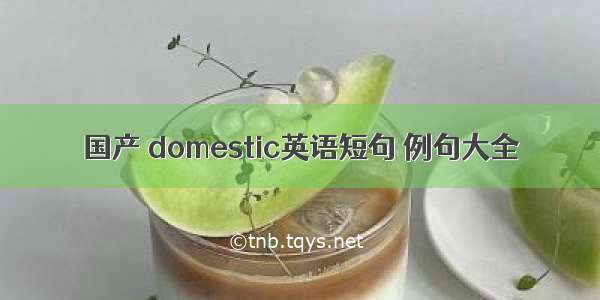 国产 domestic英语短句 例句大全