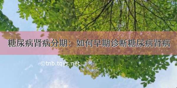 糖尿病肾病分期：如何早期诊断糖尿病肾病