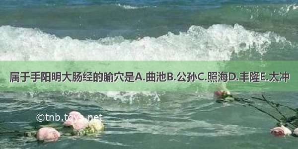 属于手阳明大肠经的腧穴是A.曲池B.公孙C.照海D.丰隆E.太冲