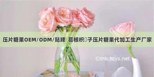 压片糖果OEM/ODM/贴牌  葛根枳椇子压片糖果代加工生产厂家