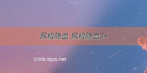 尿检隐血 尿检隐血3+