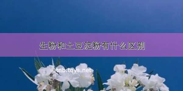 生粉和土豆淀粉有什么区别