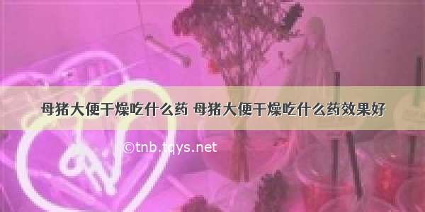 母猪大便干燥吃什么药 母猪大便干燥吃什么药效果好