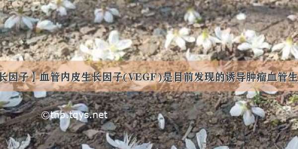 【血管内皮生长因子】血管内皮生长因子(VEGF)是目前发现的诱导肿瘤血管生成的最强烈的...