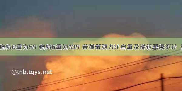 如图所示 物体A重为5N 物体B重为10N 若弹簧测力计自重及滑轮摩擦不计 当它们处于