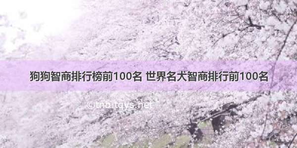 狗狗智商排行榜前100名 世界名犬智商排行前100名