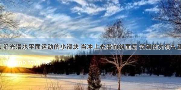 如图所示 沿光滑水平面运动的小滑块 当冲上光滑的斜面后 受到的力有A.重力 弹力 