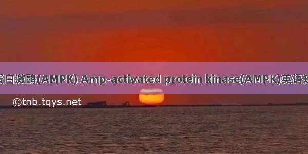 腺苷酸活化蛋白激酶(AMPK) Amp-activated protein kinase(AMPK)英语短句 例句大全