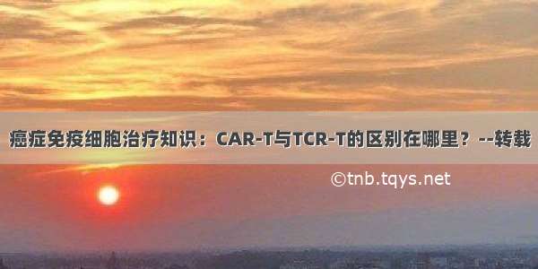 癌症免疫细胞治疗知识：CAR-T与TCR-T的区别在哪里？--转载