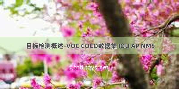 目标检测概述-VOC COCO数据集 IOU AP NMS