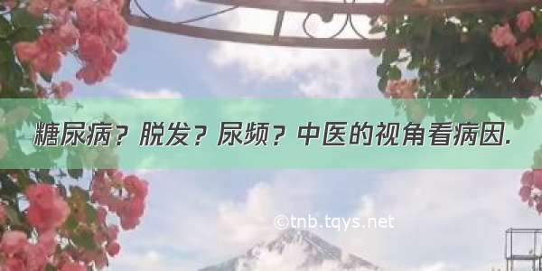 糖尿病？脱发？尿频？中医的视角看病因.