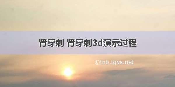 肾穿刺 肾穿刺3d演示过程