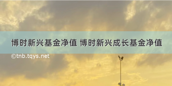 博时新兴基金净值 博时新兴成长基金净值