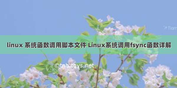 linux 系统函数调用脚本文件 Linux系统调用fsync函数详解