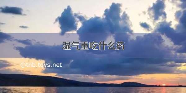 湿气重吃什么药