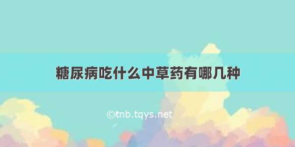 糖尿病吃什么中草药有哪几种