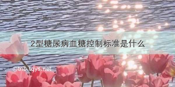 2型糖尿病血糖控制标准是什么