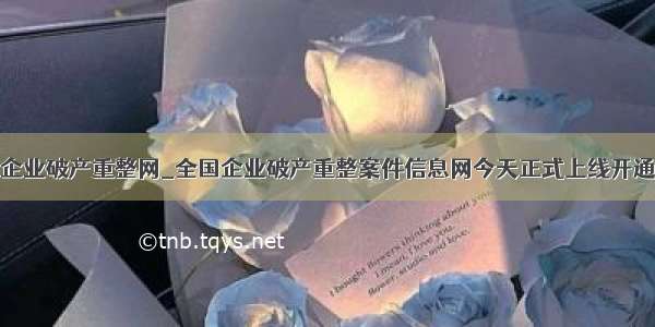 企业破产重整网_全国企业破产重整案件信息网今天正式上线开通