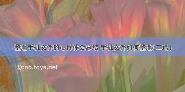 整理手机文件的心得体会总结 手机文件如何整理(二篇)