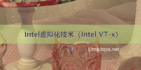 Intel虚拟化技术（Intel VT-x）