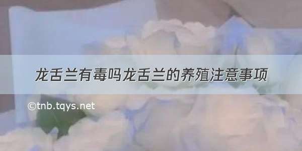 龙舌兰有毒吗龙舌兰的养殖注意事项