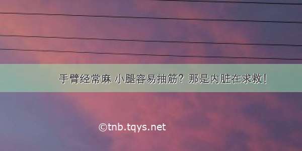 ▶▶手臂经常麻 小腿容易抽筋？那是内脏在求救！