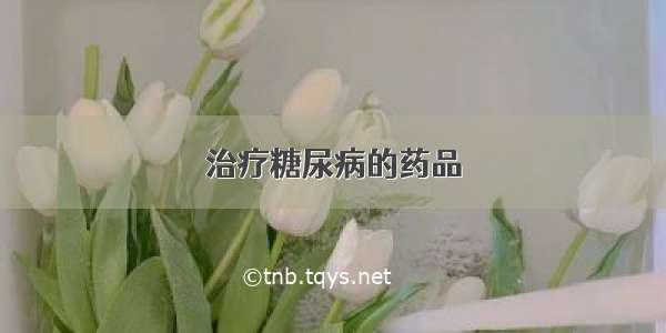 治疗糖尿病的药品