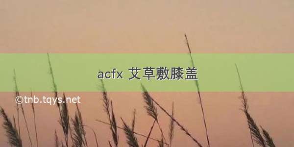 acfx 艾草敷膝盖