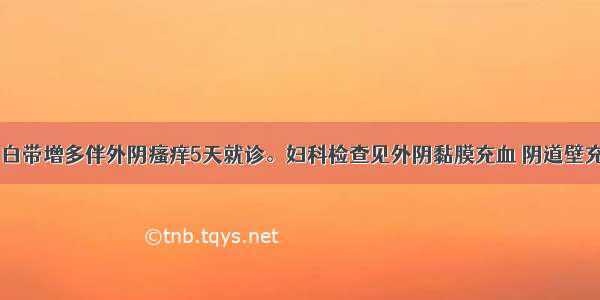 患者40岁 白带增多伴外阴瘙痒5天就诊。妇科检查见外阴黏膜充血 阴道壁充血 分泌物