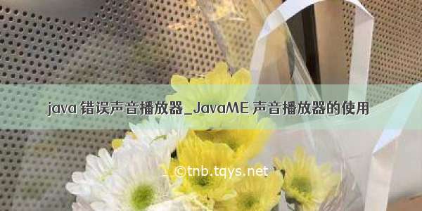 java 错误声音播放器_JavaME 声音播放器的使用