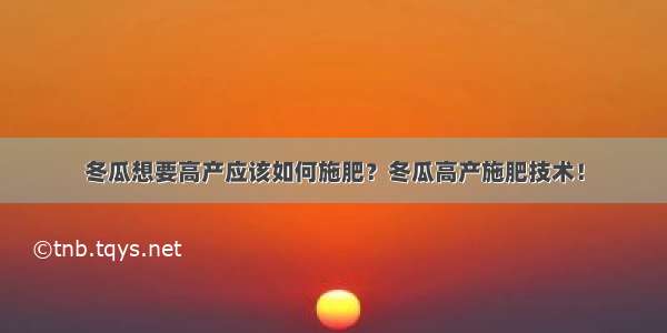 冬瓜想要高产应该如何施肥？冬瓜高产施肥技术！