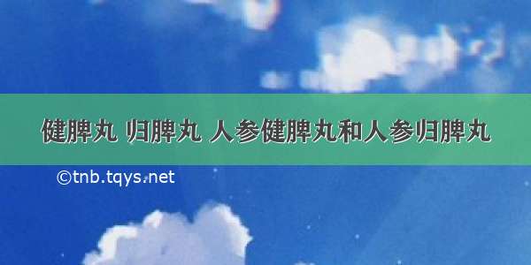 健脾丸 归脾丸 人参健脾丸和人参归脾丸