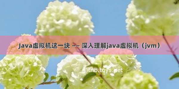 Java虚拟机这一块 —— 深入理解java虚拟机（jvm）