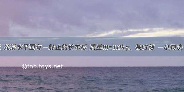 如图甲所示 光滑水平面有一静止的长木板 质量M=3.0kg．某时刻 一小物块（可视为质