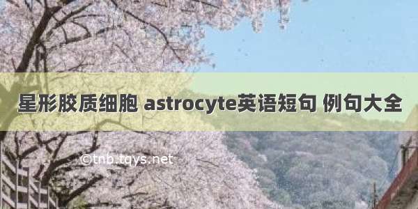 星形胶质细胞 astrocyte英语短句 例句大全