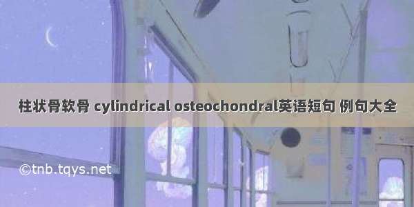 柱状骨软骨 cylindrical osteochondral英语短句 例句大全