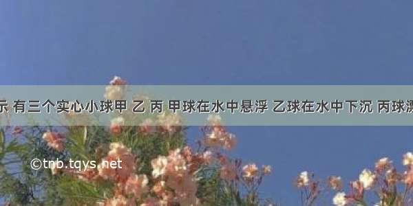 如图所示 有三个实心小球甲 乙 丙 甲球在水中悬浮 乙球在水中下沉 丙球漂浮在水