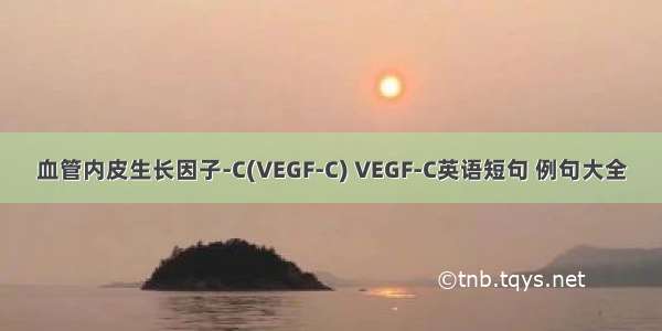 血管内皮生长因子-C(VEGF-C) VEGF-C英语短句 例句大全