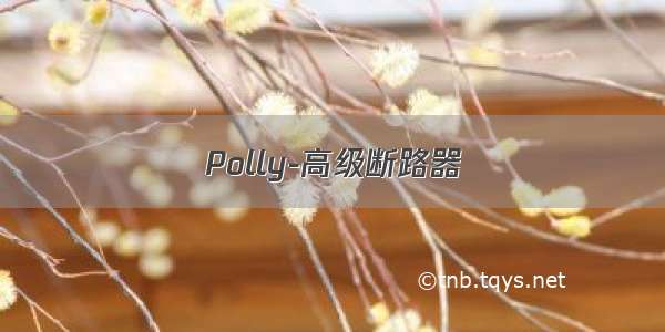 Polly-高级断路器