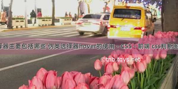 css选择器主要包括哪些 伪类选择器hover的使用 – CSS – 前端 css判断图片尺寸