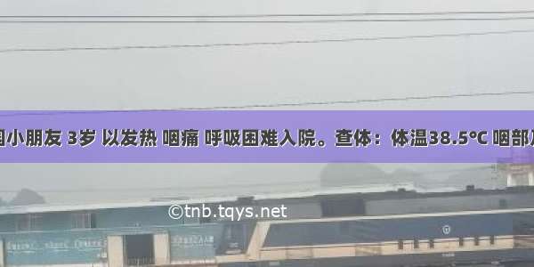 某幼儿园小朋友 3岁 以发热 咽痛 呼吸困难入院。查体：体温38.5℃ 咽部及扁桃体