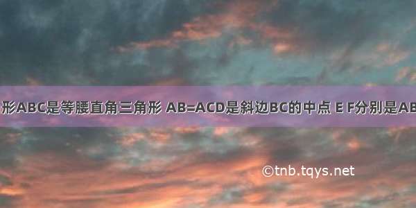 如图已知三角形ABC是等腰直角三角形 AB=ACD是斜边BC的中点 E F分别是AB AC 边上的点