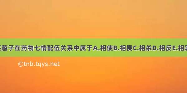 人参配莱菔子在药物七情配伍关系中属于A.相使B.相畏C.相杀D.相反E.相恶ABCDE