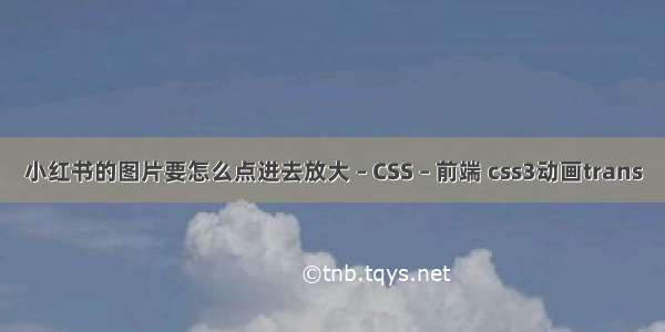 小红书的图片要怎么点进去放大 – CSS – 前端 css3动画trans