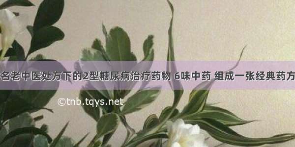 名老中医处方下的2型糖尿病治疗药物 6味中药 组成一张经典药方