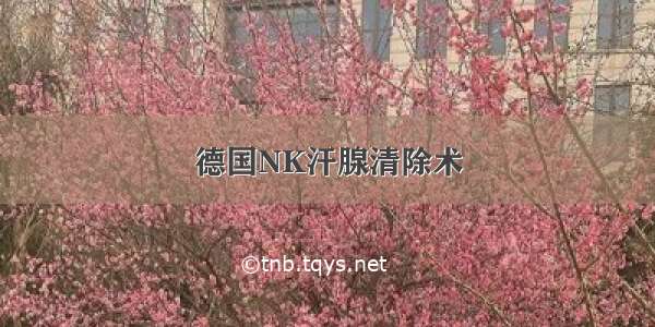 德国NK汗腺清除术