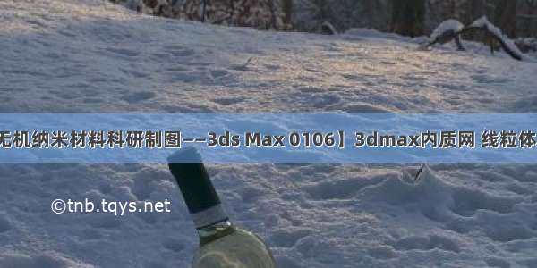 【无机纳米材料科研制图——3ds Max 0106】3dmax内质网 线粒体建模