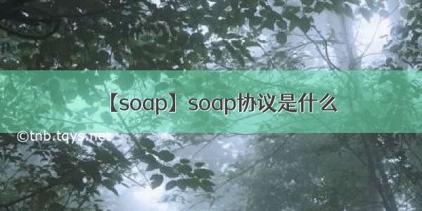 【soap】soap协议是什么