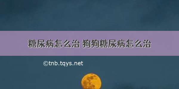 糖尿病怎么治 狗狗糖尿病怎么治